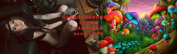 mdpv Бугульма